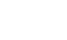 Virginia is for Lovers logo